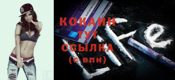 мдпв Бородино