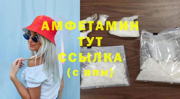 мдпв Бородино