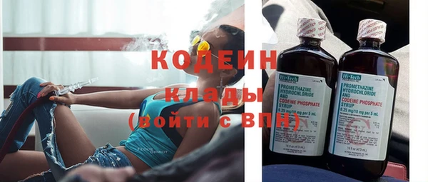 мдпв Бородино