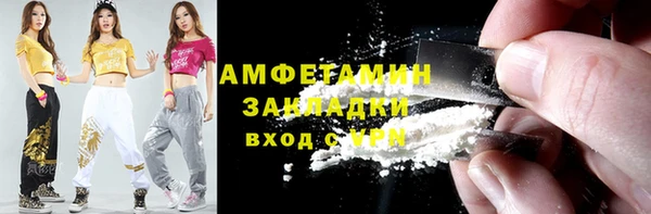 мдпв Бородино