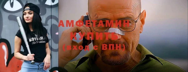 мдпв Бородино