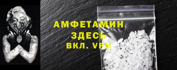 мдпв Бородино
