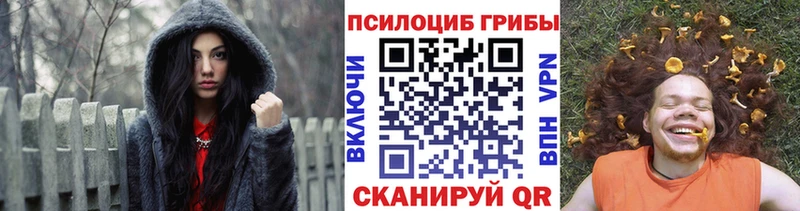 купить наркотики сайты  Можайск  Псилоцибиновые грибы Cubensis 