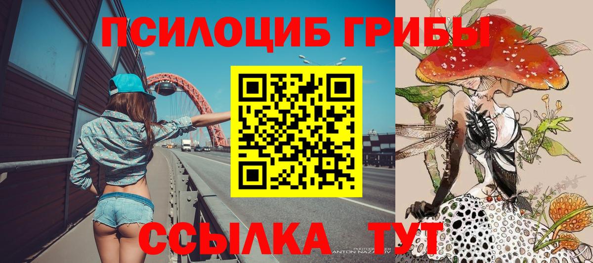 Галлюциногенные грибы GOLDEN TEACHER Можайск