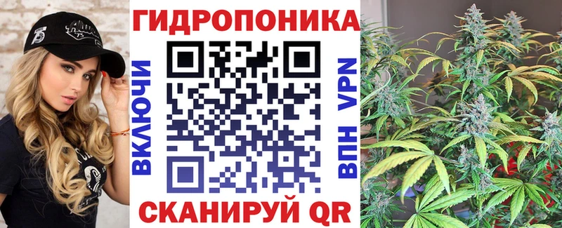 Бошки Шишки семена  купить наркотик  Можайск 