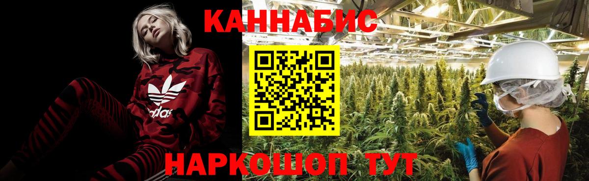 Бошки марихуана Amnesia Можайск